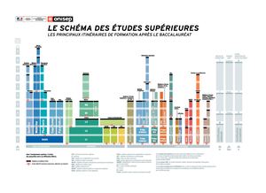 Schéma des études supérieures 2018