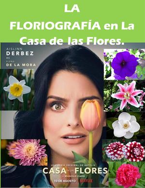 La Floriografia En La Casa De Las Flores