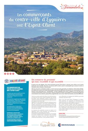 Esprit Client Farandole Décembre 2018