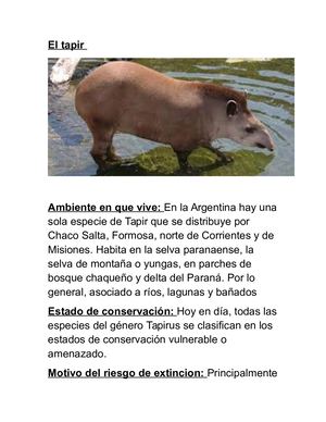 Revista Cientifica