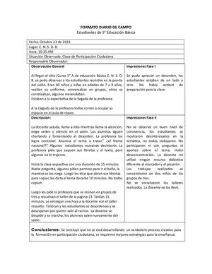 FORMATO DIARIO DE CAMPO