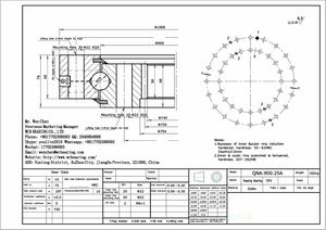 WCB QNA 900 25A Swing Circle Gear Roller And Ball Turntable Slewing Ring Bearing
