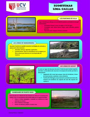 Ecosistemas De Lima Callao