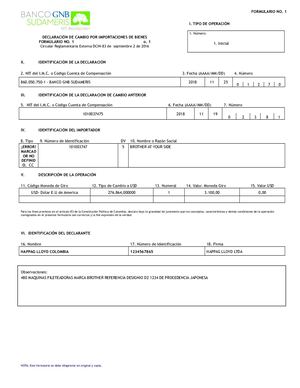 Declaracion De Cambio Por Importaciones De Bienes 1