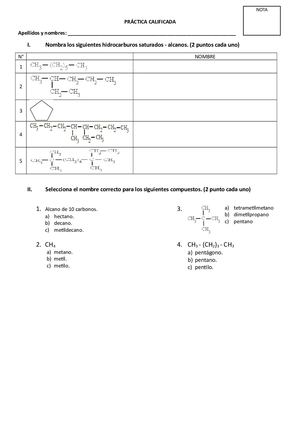 Práctica Calificada Alcanos