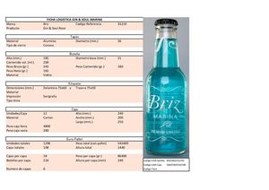 Modelo Ficha Logistica Marina  12