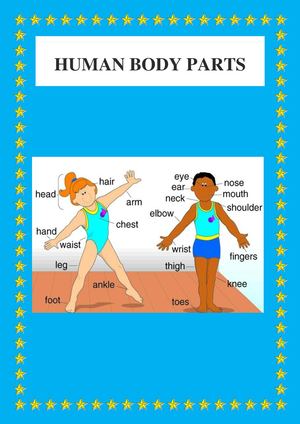 Human Body Parts