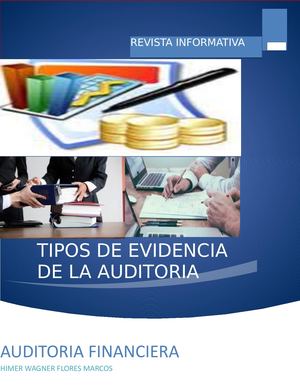 Revista De Auditoria