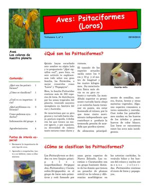 Psittaciformes: Todo Sobre Loros