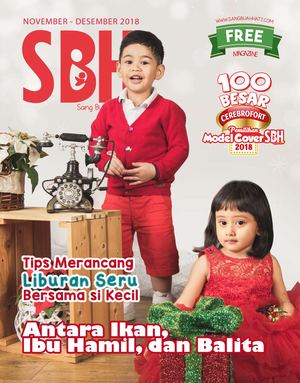 SBH NOVEMBER-DESEMBER 2018