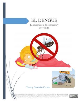 El dengue: la importancia de conocerlo y prevenirlo