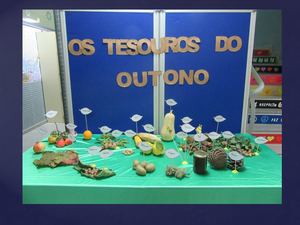 Os Tesouros Do Outono