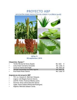 metodología del proyecto