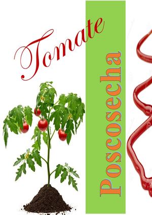 Manual De Poscosecha