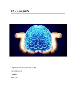 EL CEREBRO