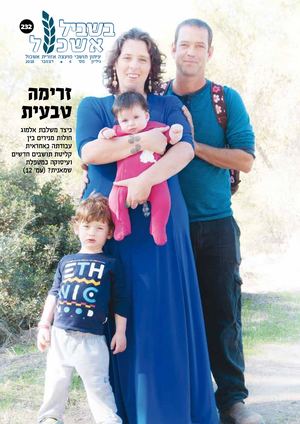 אשכול דצמבר