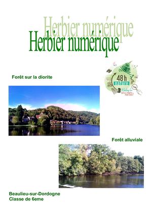 Herbier Numerique Thibaud