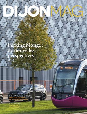 Dijon Mag 318