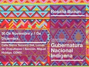 GUBERNATURA NACIONAL INDIGENA