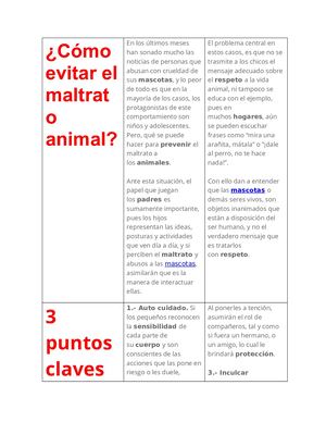 Cómo Evitar El Maltrato Animal