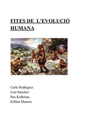 Fites De L'evolució Humana