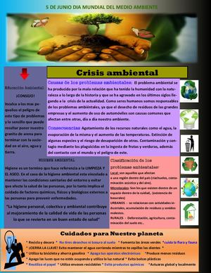 BORRADOR BOLETIN