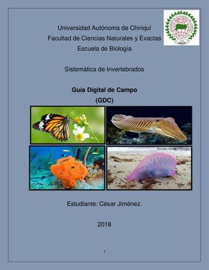 César Jiménez (Gdc ) Final