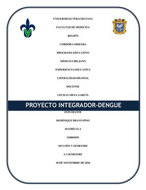 DENGUE-PROYECTO INTEGRADOR UV