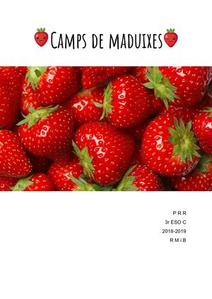 Camps De Maduixes