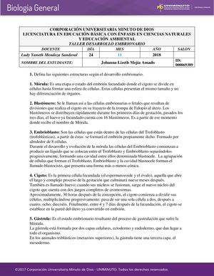 Taller Desarrollo embrionario