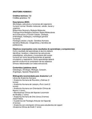 Guia Anatomia Humana I 09 10