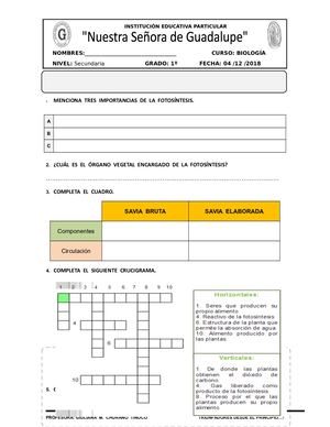 Guía De Miscelánea Fotosíntesis