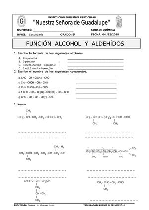 Guía De Alcohol Aldehido