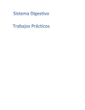 Sistema Digestivo