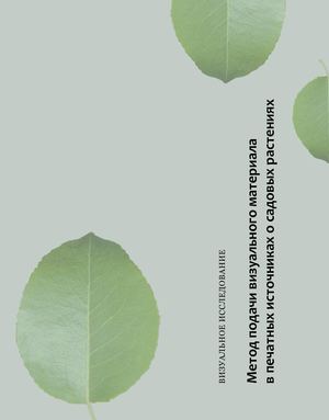 Визуальное исследование