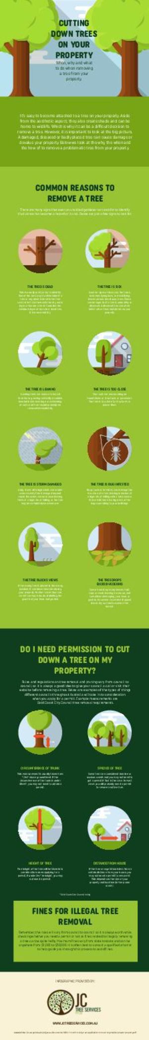 Calaméo - Cutting Down Tree In Your Property Infographic