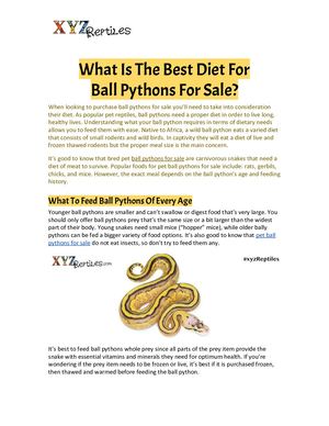 What Is The Best Diet For Ball Pythons For Sale?
