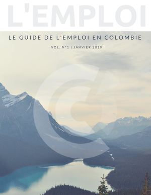 Calameo Guide De L Emploi En Colombie Test