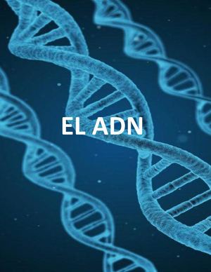 Revista De Adn