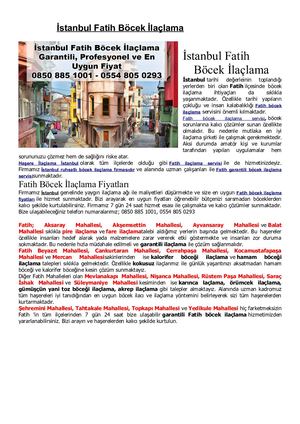 İStanbul Fatih Böcek İLaçlama