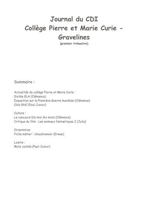 Journal Cdi 1