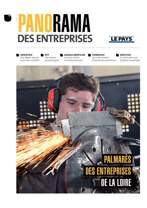 Panorama des Entreprises - 42