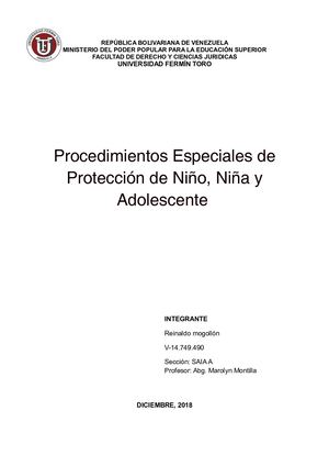Procedimiento Ordinario En Materia De Protección De Niños