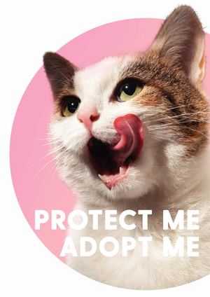 Adopt me. Protect me.