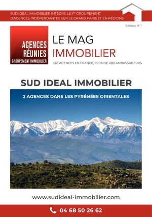 SUD IDÉAL IMMOBILIER - N°1