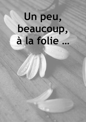 FOLIE : Un Peu, Beaucoup...