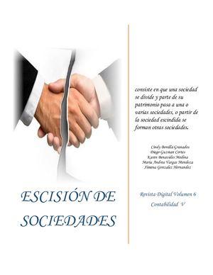 Cuadro Descriptivo De Escisión