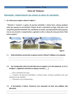 Ficha De Trabalho Reproduçao Dos Animais