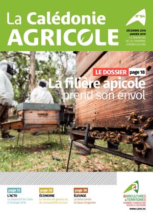 LCA n°164 - Décembre 2018