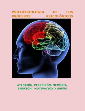 EJERCICIOS, ATENCIÓN MEMORIA Y PERCEPCIÓN